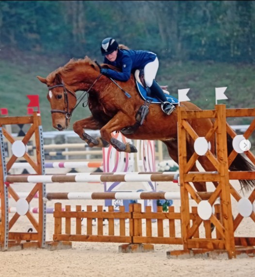 Poney