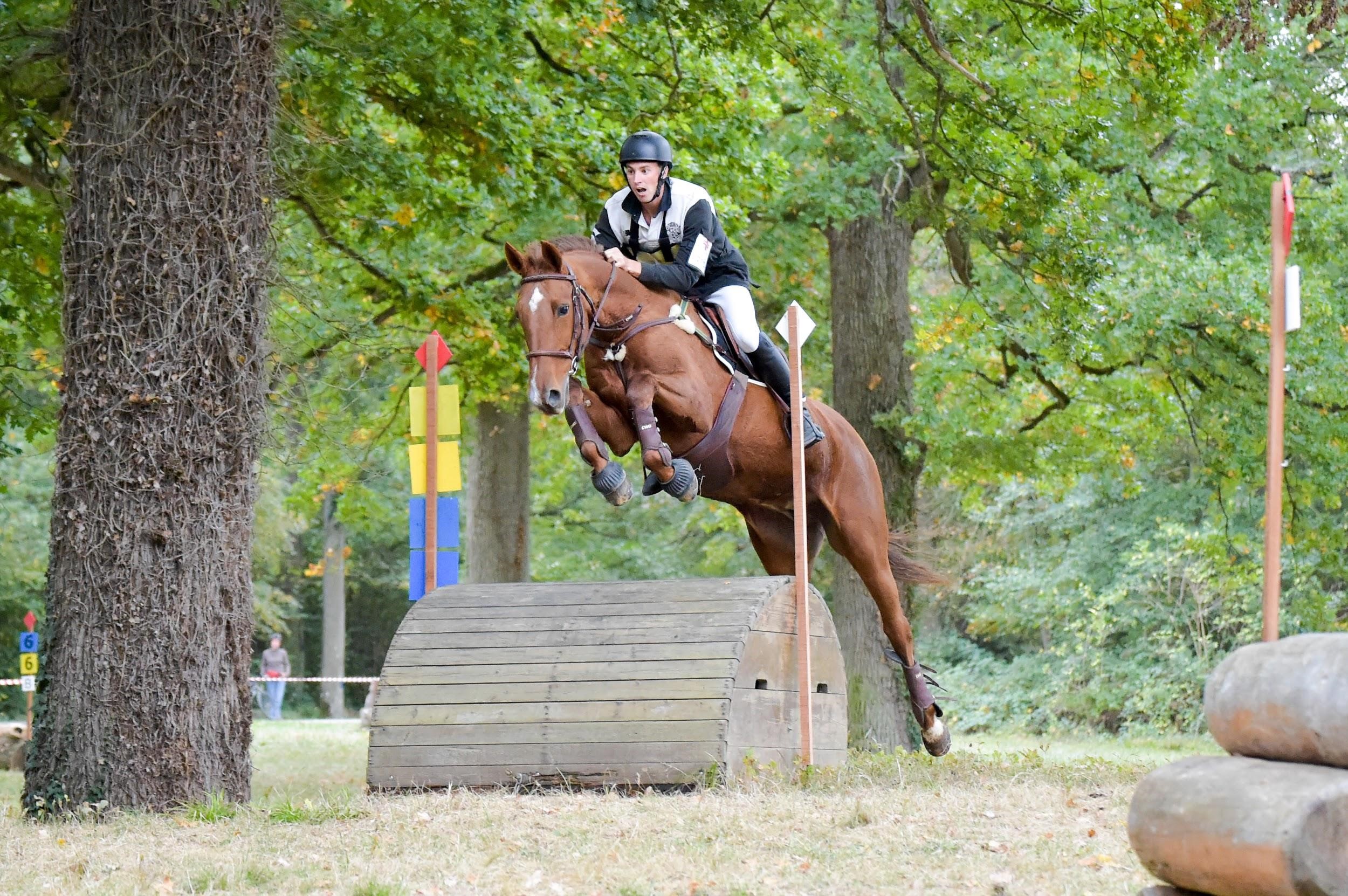 Saut