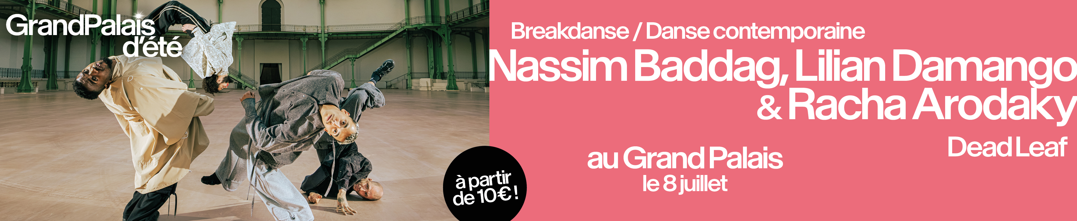 PUB - Grand Palais Nassim Baddag