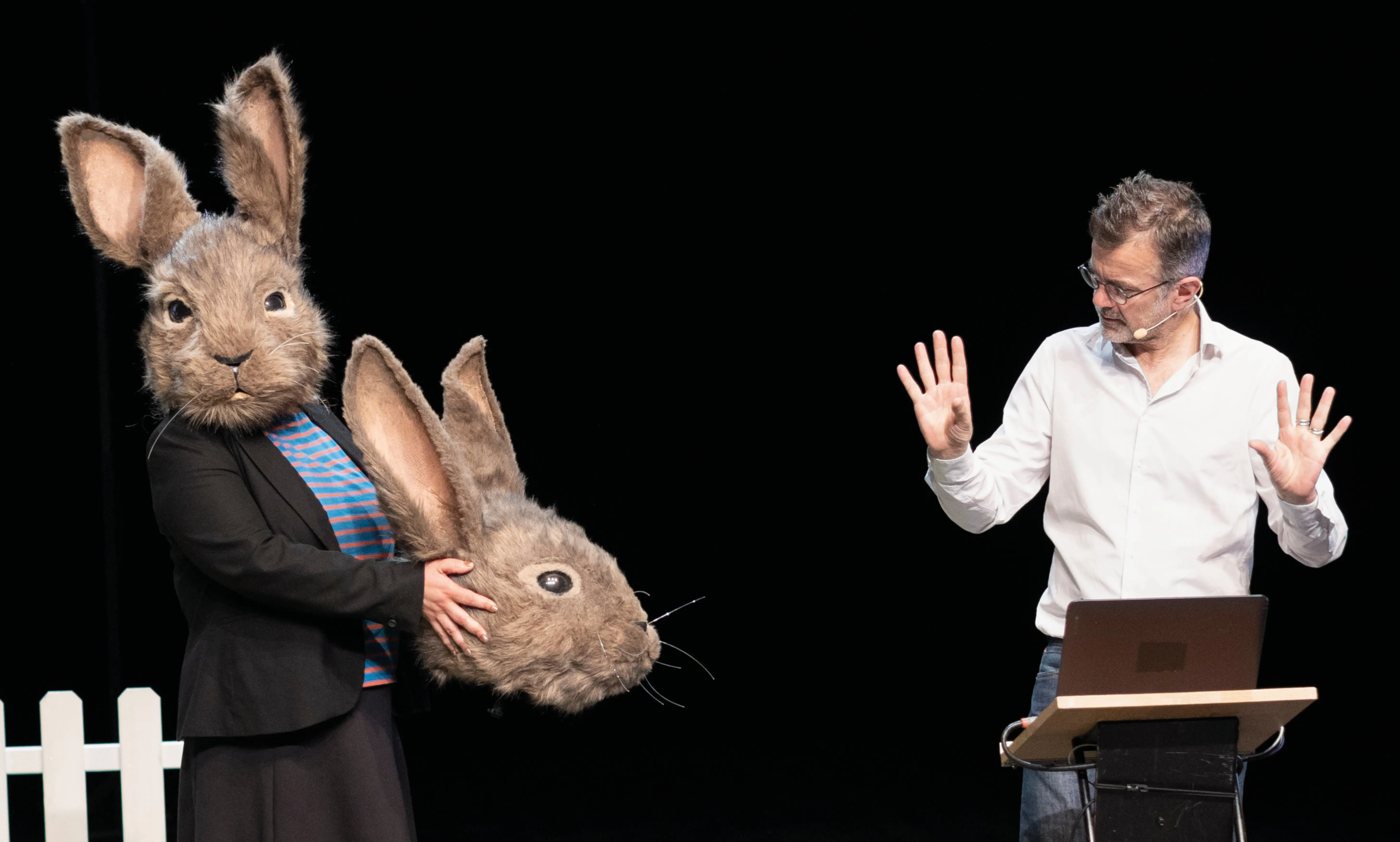 Le problème lapin, cartographie 7