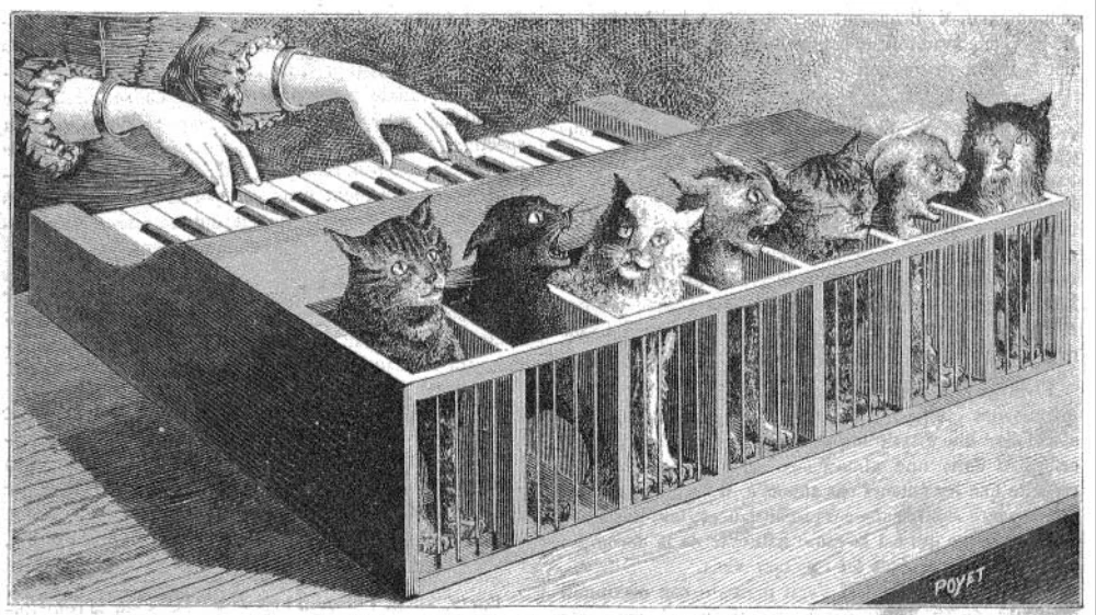 Athanasius Kircher, Le piano à chat