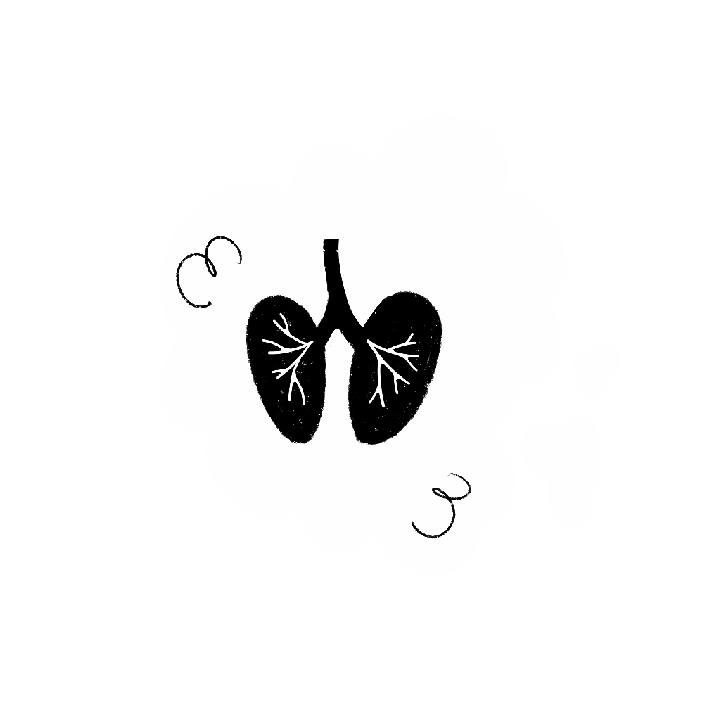 fumée