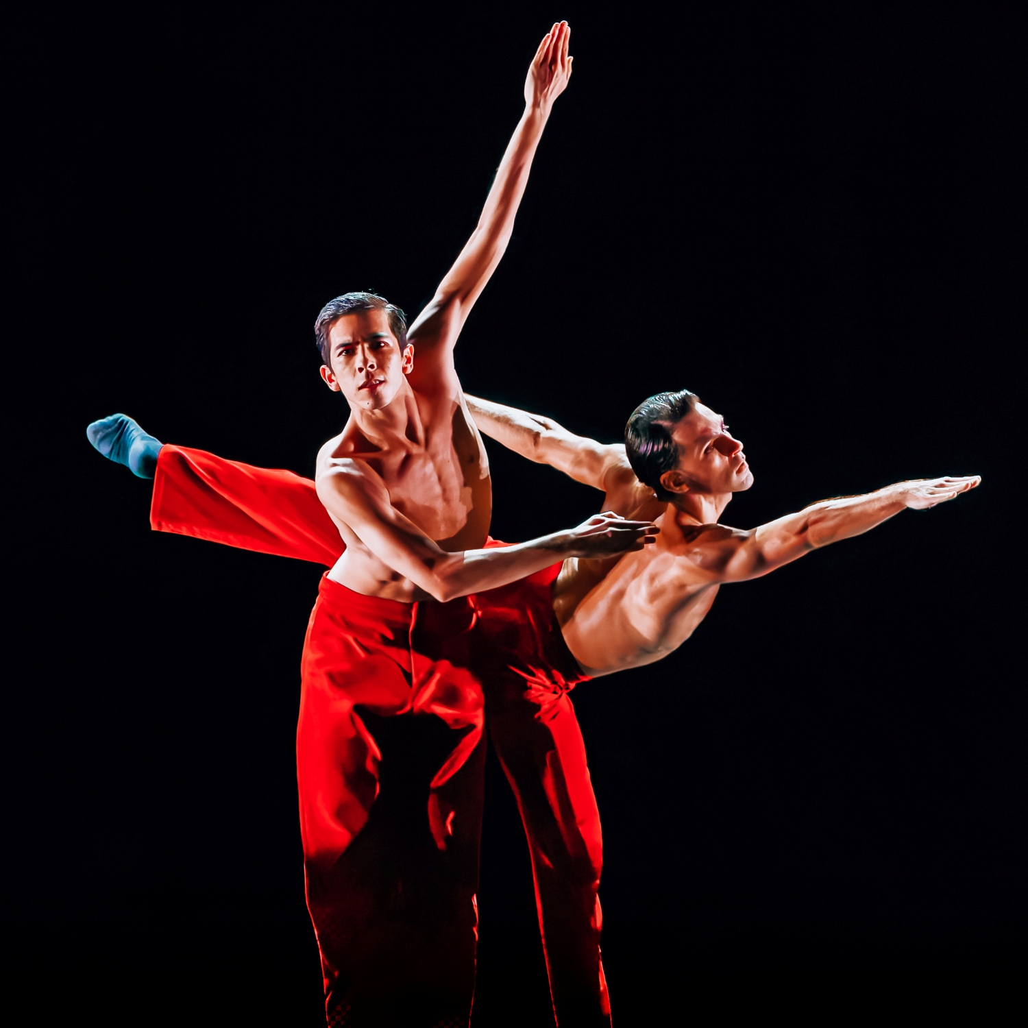 Le Ballet et ses signatures contemporaines