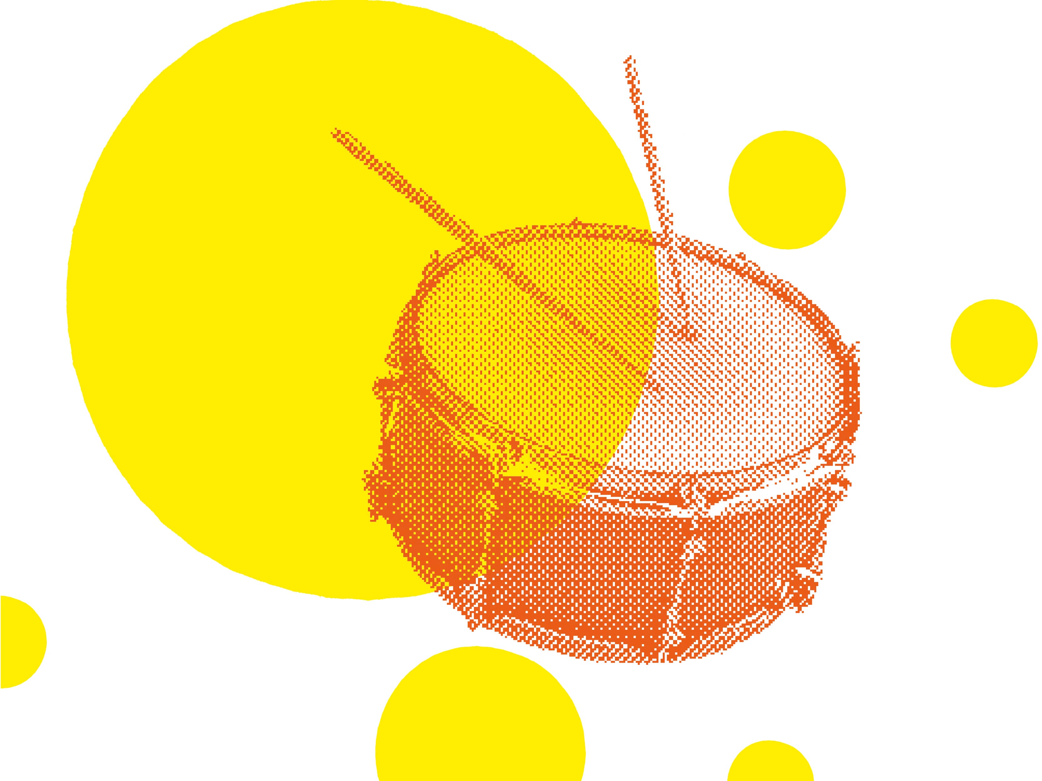 Image du spectacle Atelier percussions de Roissy-en-Brie