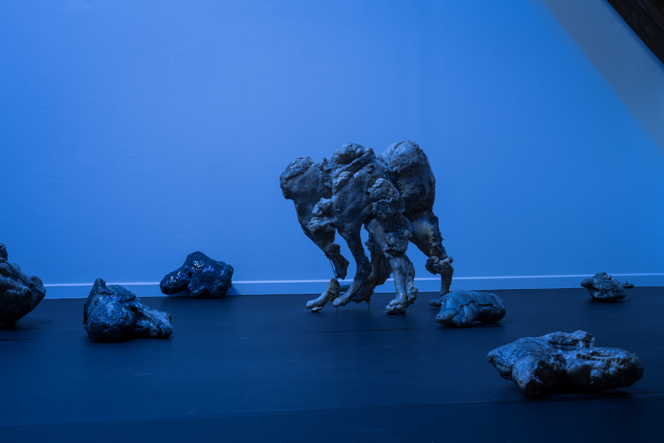 Giulia Cenci, marine snow (scuro-scuro), 2019, détail, courtesy de l’artiste et Collection Frac Bretagne, vue de l’exposition Chambre à échos, La Ferme du Buisson, 2026 