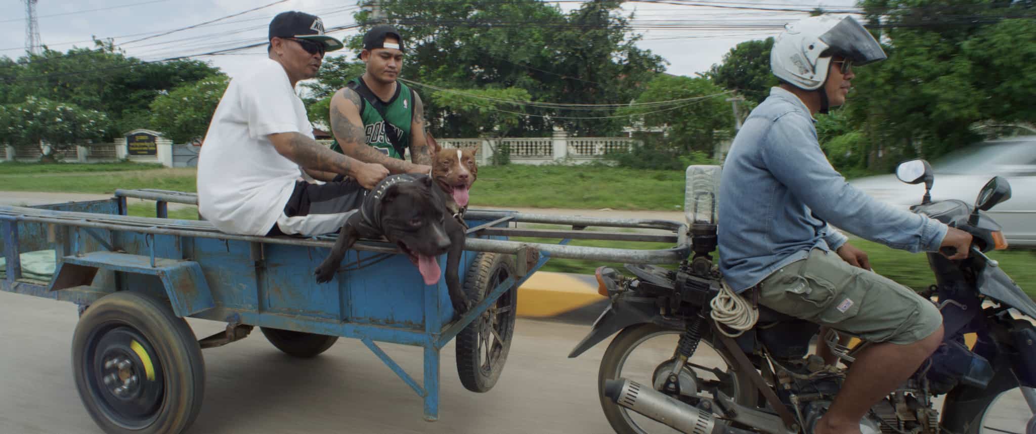 Image du spectacle Khmerica de de Thibaut Amri, Antoine Guide & Lucas Sénécaut